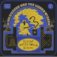 King Gizzard & The Lizard Wizard レコード King Gizzard and the Lizard Wizard - 