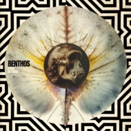 Benthos/From Nothing