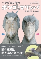 �n�V�r���R�E�̃{���S�ƃ}�����o