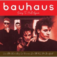 レコード｜Bauhaus (バウハウス)｜商品一覧｜HMV&BOOKS online