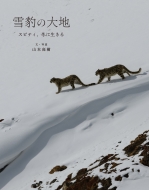 ��^�̑�n �X�s�e�B�A�~�ɐ�����