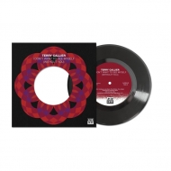 Terry Callier/Callieri Don't Want To See Myself (Without You)