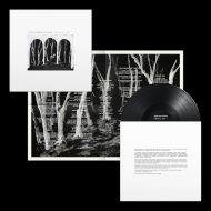 These New Puritans/Crooked Wing