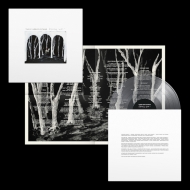 These New Puritans/Crooked Wing (Ltd)