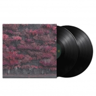 Even In Arcadia (2LP)