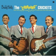 レコード｜Buddy Holly (バディ ホリー)｜商品一覧｜HMV&BOOKS online