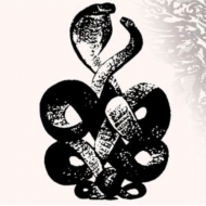 Bardo Pond/Volume 4  5