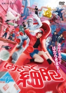 新品 貴重 永野芽郁 ポップ セット Amazon.co.jp: 永野芽郁 2nd写真集「No cambia」 : 永野 芽郁