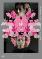 fuk-ADABANA-v DVD