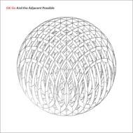 And The Adjacent Possible