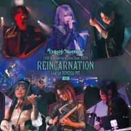 Unlucky Morpheus/15th Anniversary Live Tour 2024 Reincarnation Live At Toyosu Pit