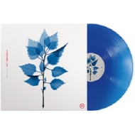 Matt Berninger/Get Sunk (Exclusive)(Ltd)