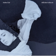 Ambre Ciel/Still There Is The Sea (With Insert)