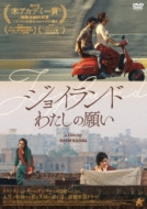 Movie/祤 錄δꤤ