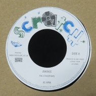 �ybl�p�zawake / Version