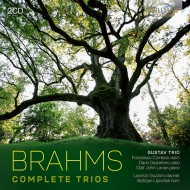 ֥顼ॹ1833-1897/Piano Trio 1 2 3 Horn Trio Clarinet Trio Gustav Trio B. lipovsek(Hr) Guzzoni(C