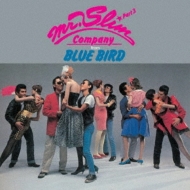 Mr. SLIM COMPANY/Part 3 From Blue Bird
