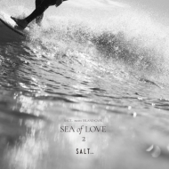 Various/Salt. Meets Island Cafe -sea Of Love 2- (ʥ쥳)