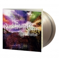 Magic Mountain (S[hp[v}[uE@Cidl/2g/180OdʔՃR[h/Music On Vinyl)