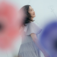 細野晴臣 アナログ盤レコード mei ehara SE SO NEON 細野晴臣 アナログ盤レコード mei ehara SE SO NEON