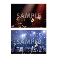 UNISON SQUARE GARDEN museum ～20年目のプロローグ～』グッズ