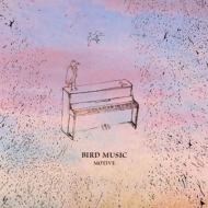 BIRD MUSIC