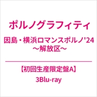 ポルノグラフィティ ロマンスポルノ 解放区 入場特典 限定品