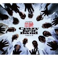 CDアルバム｜クレイジーケンバンド｜商品一覧｜HMV&BOOKS online