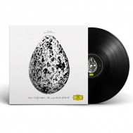 wThe Importance of BirdsxXmbEnO\ (180OdʔՃR[h/Deutsche Grammophon)