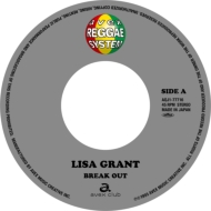 THE GITS レコード HMV record shop news - NEW ITEM