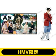 共旅 井澤勇貴 安藤夢叶 井澤勇貴＆安藤夢叶 旅企画DVD『共旅 in 雨男に負けない釜山旅