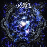 本日限定 Roselia 16th 17th シングル　通常盤 各10枚セッB Roselia 16th Single「Dazzle the Destiny」｜ディスコ