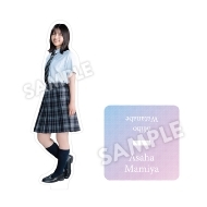 ǲĽե奿/11Ϥۥ륹(asֵī) / ǲĽե奿