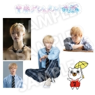 ǲĽե奿/11Ϥۥƥå6祻å(ƣasī) / ǲĽե奿