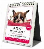 2026NJ_[/l̓`X! / 2026N / Ǌ|J_[