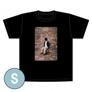 |SW/S(2 / )tVc / |SW