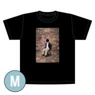 |SW/M(2 / )tVc / |SW