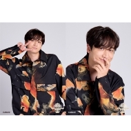 HANDSOME MUSEUM 2025/֗T u}Ch2Zbg