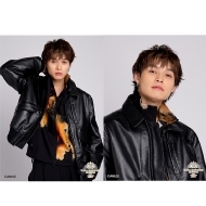 HANDSOME MUSEUM 2025/C u}Ch2Zbg