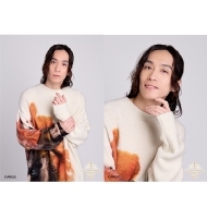 HANDSOME MUSEUM 2025/ԑs u}Ch2Zbg