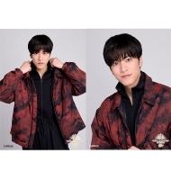 HANDSOME MUSEUM 2025/ u}Ch2Zbg