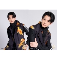 HANDSOME MUSEUM 2025/n粌\S u}Ch2Zbg