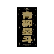 HANDSOME MUSEUM 2025/ۓl XebJ[