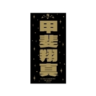 HANDSOME MUSEUM 2025/bĐ^ XebJ[