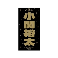 HANDSOME MUSEUM 2025/֗T XebJ[