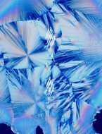 DUSTCELL 最新ライブBlu-ray『ONE at 日本武道館』2025年7月23日