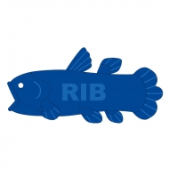 RIB�V�[���J���X�ʂ�����݁i�j
