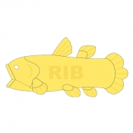 RIB�V�[���J���X�ʂ�����݁i15th����J���[�j