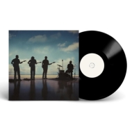 VINTAGE TROUBLE ヴィンテージトラブル　アナログ盤 VINTAGE TROUBLE ヴィンテージトラブル アナログ盤 VINTAGE