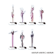 CHAOS;HEAD NOAH/CHAOS;CHILD/Chaos Childランダム ディソードアクリルキーホルダー(Box)